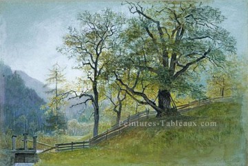 Vahm Au Tyrol Près De Brixen Paysage Luminisme William Stanley Haseltine Peinture à l'huile